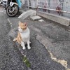2024年マレーシア＆ベトナム旅行記⑪ - 改めて一人旅を再開 - （ペナン、マレーシア）