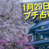 【2020年1月29日】良縁・金運のパワーと季節の花木！～神奈川県・長谷寺～