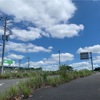 土曜の夏空。