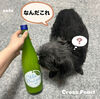 白い梅酒とは？福岡【みいの寿】とBaby怪獣の中耳炎・solaの尻尾