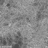 How To Buy Nanowires Online in Four Simple Steps?