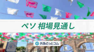 メキシコペソ 月間為替予想「メキシコ経済減速下での金融緩和継続。メキシコペソ/円は7.2～7.6円のレンジを予想」FXレポート 2025年6月