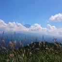 竹仙坊日月抄