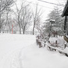 一日雪だあ