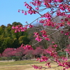 去年の今頃