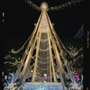 Photo No.2131 / 本文おやすみです
