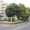 今へ続く日光御成街道を歩くと