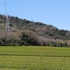 お茶畑と、お地蔵さんと、すろーじゃむの湯と、マスクの効果を患者の実験で確認 香港大学など研究グループと、ＮＹタイムズ、マスク型枠を紙面に掲載　品不足に一手と、【 したがって、理論学習だけでは心理療法の腕は上がらないにしても、理論学習抜きにしてはそもそも「心理学すること」は不可能だと言える。】