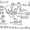 りんご果汁100%って？