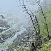 雨が降り止まない週末は…
