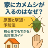 家にカメムシが入るのはなぜ？原因と撃退・予防法を徹底解説！初心者でもできる虫対策ガイド