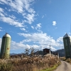 潰れた建物とサイロが残る 鳥甲牧場跡