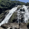 久々の5連休〜4日目: 山だけじゃないぞ！屋久島！！＆天文館の夜の巻