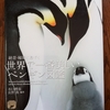 おすすめの動物本を紹介「世界で一番美しいペンギン図鑑」