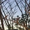 それぞれの人の才能