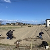 11月5日　学外畑　種まき