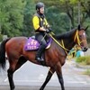 ローズステークス（GII） 桜花賞馬ジュエラー成長 ケガの影響「全くない」 「競馬レース結果ハイライト」2016年≪競馬場の達人,競馬予想≫