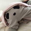 ぷにこブログ