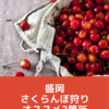 【盛岡】さくらんぼシーズン突入！今年のおすすめ２か所の果樹園を紹介します