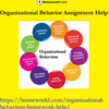 Seek Expertise from Organizational Behavior Assignment Help