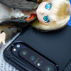 【速攻！実機レビュー】Xperia 1 IIを買ったので使ってみた感想。 #デレステ もやってみたよ