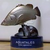 アカメが有名になったのは 釣りキチ三平 Figure Stylenavi アカメが有名になったのは 釣りキチ三平 Figure Stylenavi