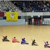 太極拳全国交流大会