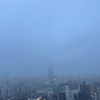 東京は雪でした