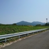 矛盾した毎日。