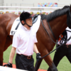 指名馬情報:牡馬第9位
