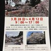 呑山観音寺桜まつりともち吉工場直売所