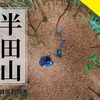 【茨城・石岡市】半田山をピークハント！登山口や所要時間は？