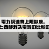 電力調達費上限撤廃。九州電力と西部ガス電気の比較のおはなし