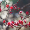 スナップ・芝公園