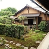 大徳寺19　聚光院2　利休忌