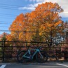 晩秋の蓼科高原サイクリング （長野県）