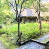長年の謎は解けたけど風邪は悪化し続けている。