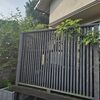 夏剪定前のフジのグリーンカーテン＆開花中のジャスミン・ホワイトプリンセスのグリーントンネル