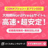 人気急上昇！ご利用件数44万件突破！高速・安定・無料SSL付／さくらのレンタルサーバ