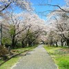 尾根幹小山田