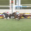 ３月８日（土）　勝負・注目レース結果　ー穴推奨馬14番人気2着も・・・