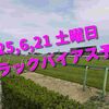 2025,6,21 土曜日 トラックバイアス予想 (東京競馬場　阪神競馬場　函館競馬場)