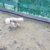 悲しい。