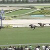 【2歳新馬2025】アランカール強すぎ