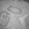 みるくあん544日目