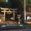 一の宮-49-雄山神社(中宮祈願殿)　　　　2017/11/5