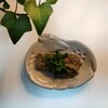 夏の茄子料理　一挙大公開