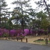 広田公園から