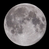 「月」の撮影　2021年12月19日(機材：ミニボーグ55FL、スリムフラットナー1.1×DG、E-PL5、ポラリエ)