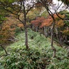 妻と 赤薙山（日光）